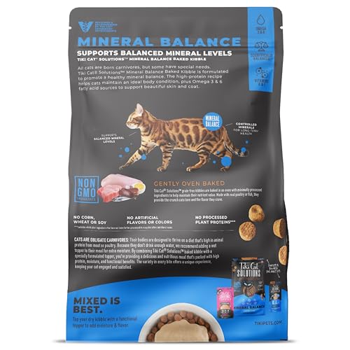 Closeup of Tiki Cat Solutions Mineral Balance kibble texture and bite size