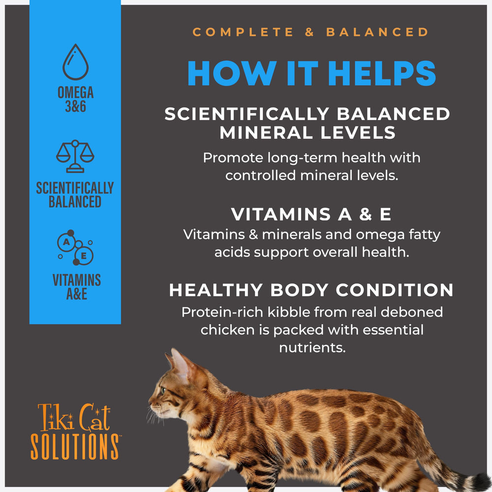 Oven baked texture of Tiki Cat Solutions Mineral Balance kibble