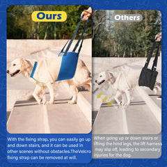 Tikibest adjustable dog lift harness usage stairs shot demonstrates gait stabilization.