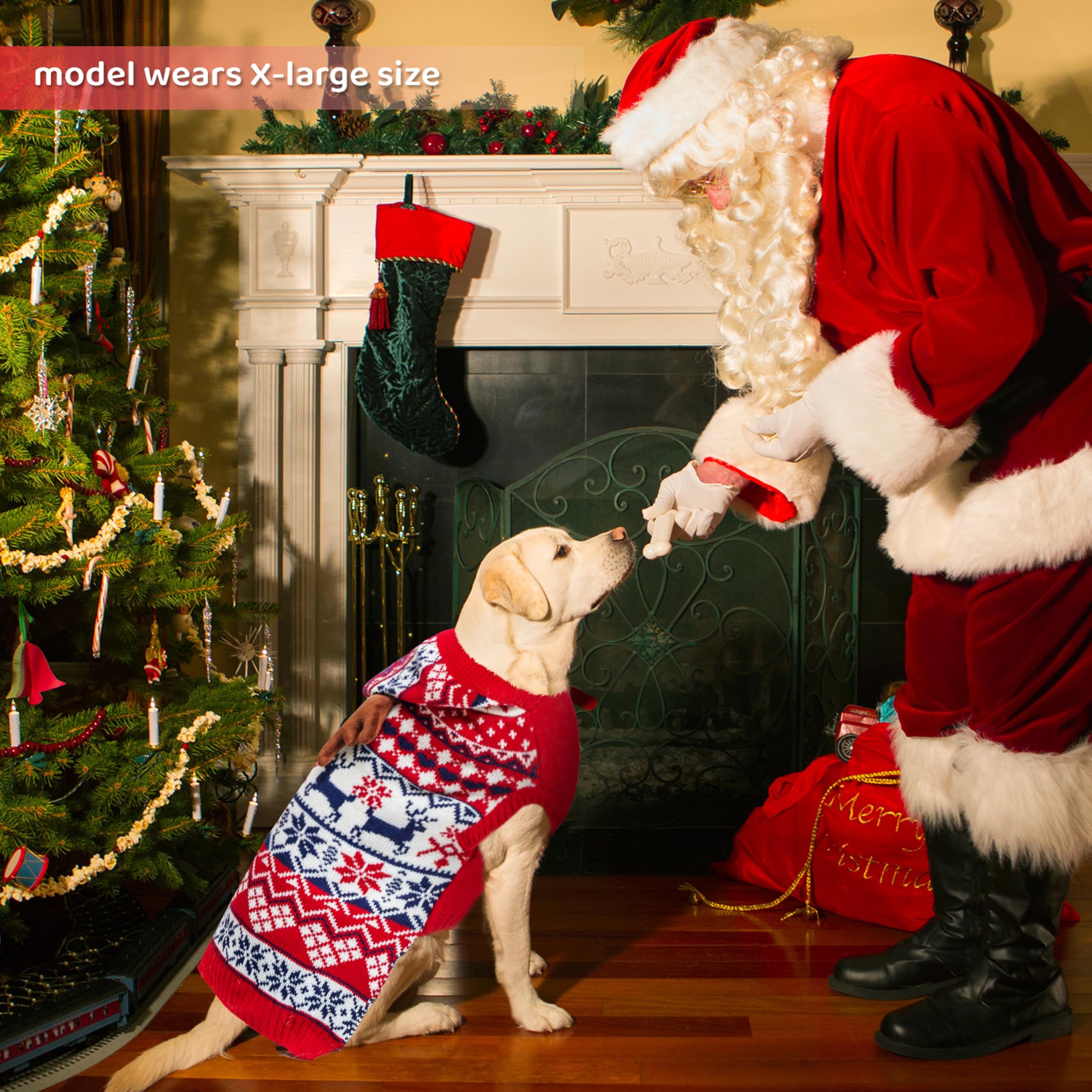 TUKOAW leash-hole feature allows safe leash attachment for everyday walks.