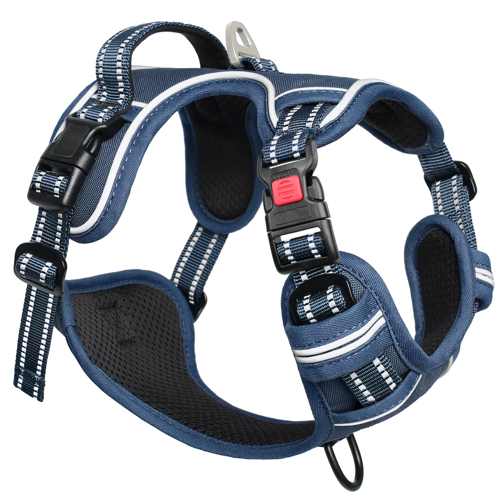 Timos dog harness royal-blue-size-s shows a compact, secure fit for small dogs