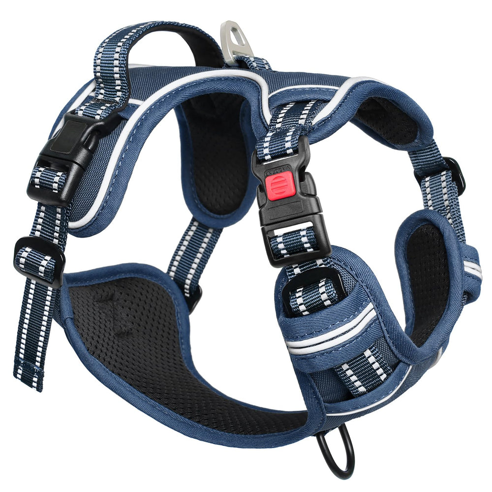 Timos dog harness royal-blue-size-s shows a compact, secure fit for small dogs