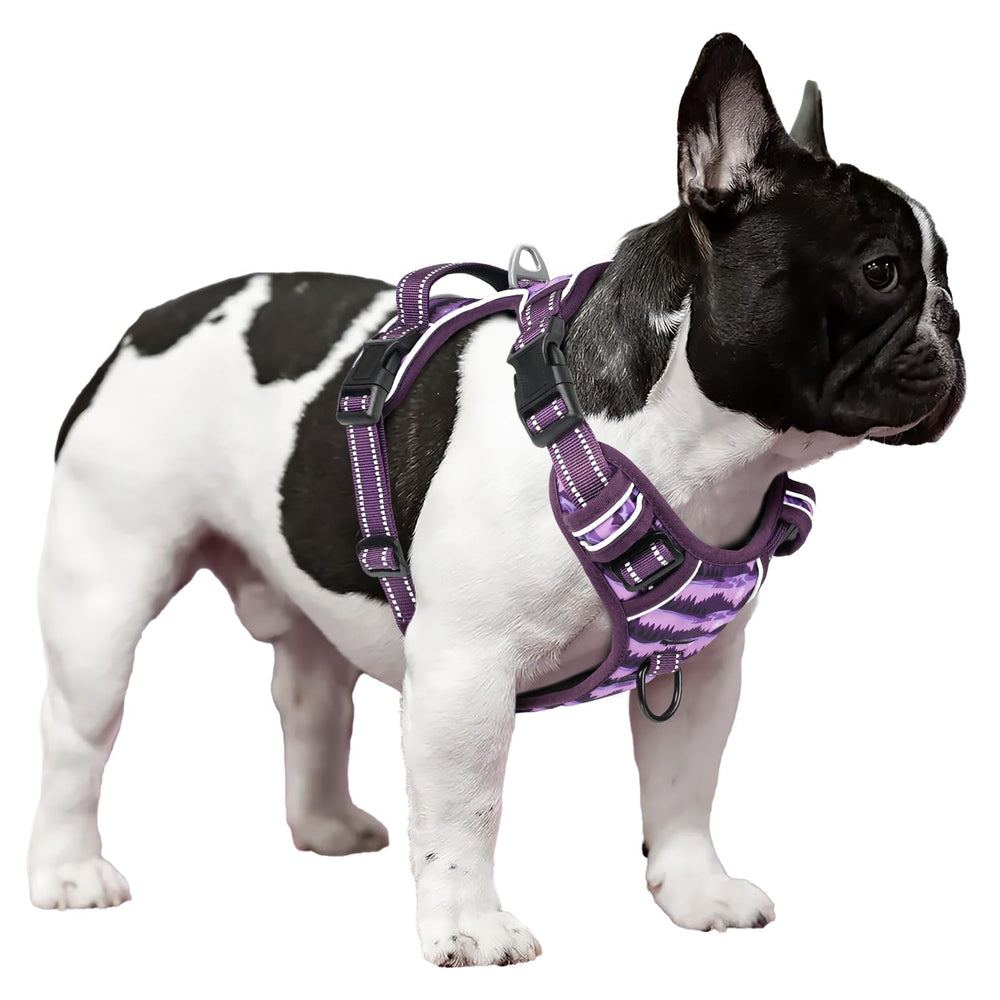 Timos back handle offers convenient control during car rides and quick interventions.