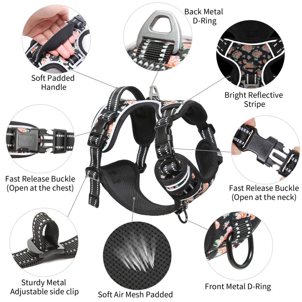 Timos harness shows two metal leash clips for versatile walking setups