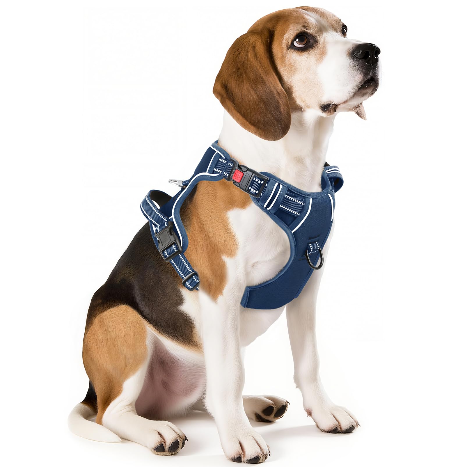 Timos dog harness 3-buckle neck snap for quick on-off use