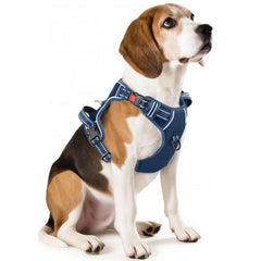 Timos dog harness 3-buckle neck snap for quick on-off use