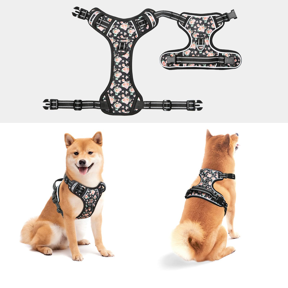 Timos harness four-way adjustable straps ensure a snug, secure fit