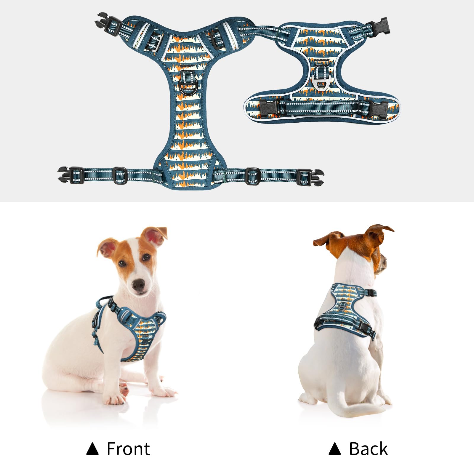 Back handle on Timos harness aids gentle guiding and car loading.