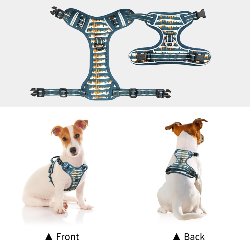 Back handle on Timos harness aids gentle guiding and car loading.