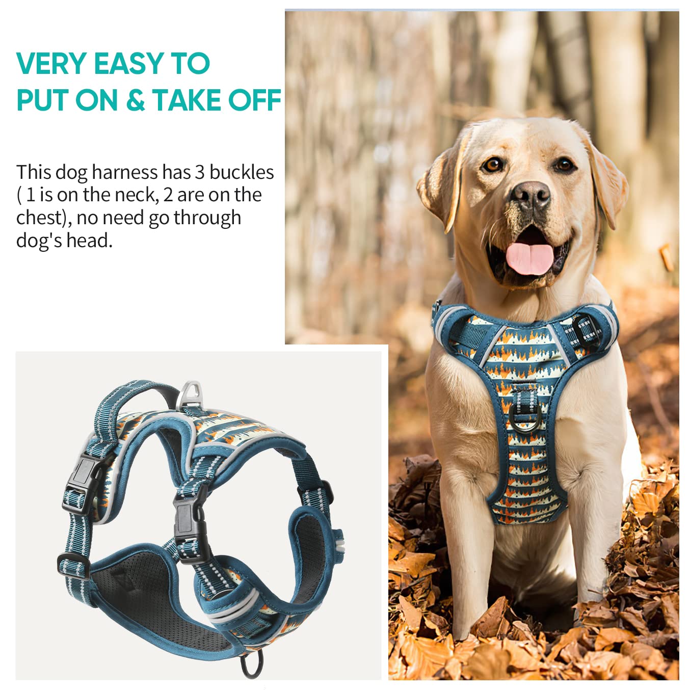 Timos harness four-way adjustable straps for a perfect fit.