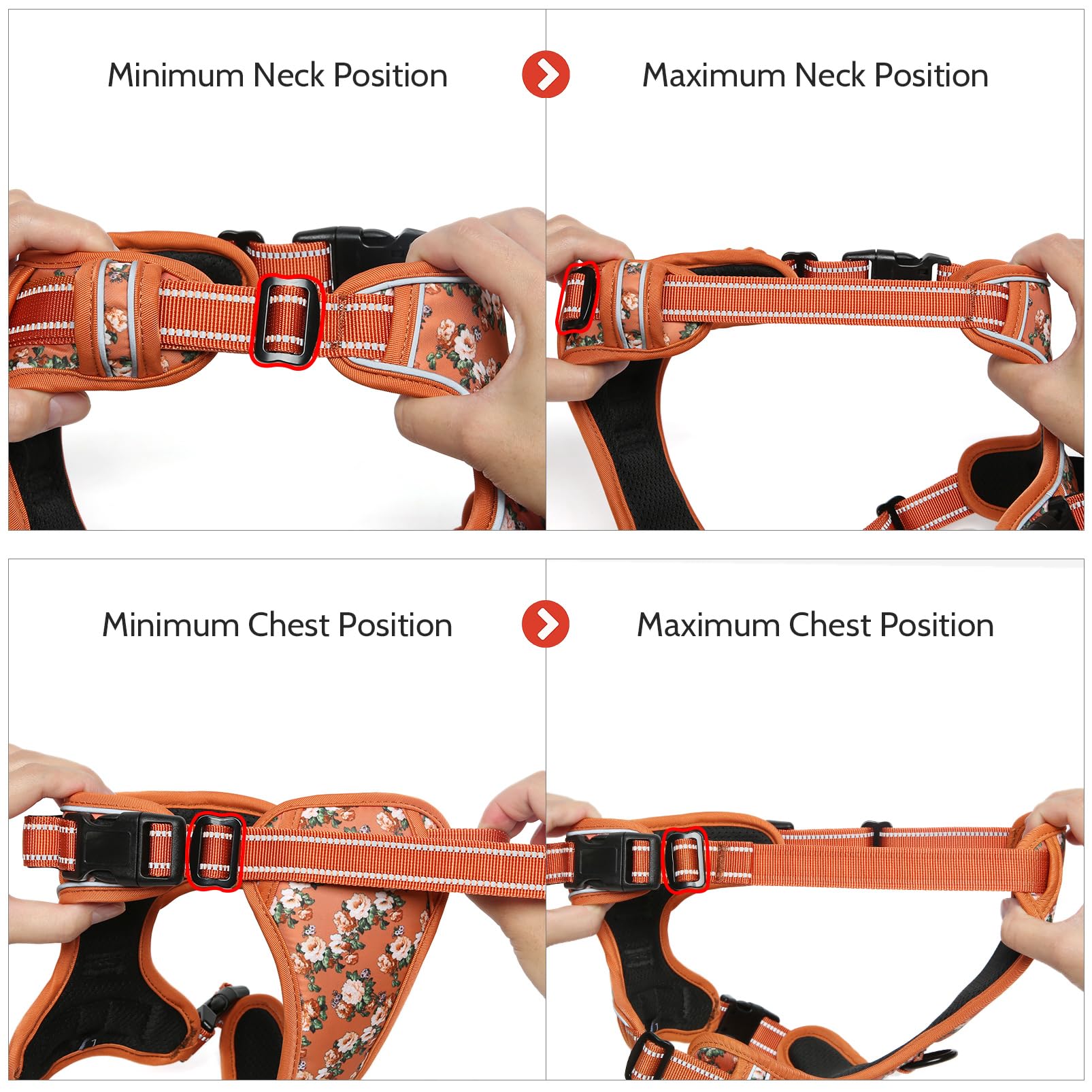 Timos harness four adjustable straps ensure secure, growing-fit