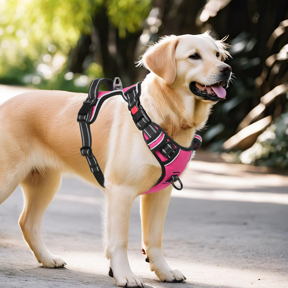 Timos dog-harness adjustable straps ensure a precise fit