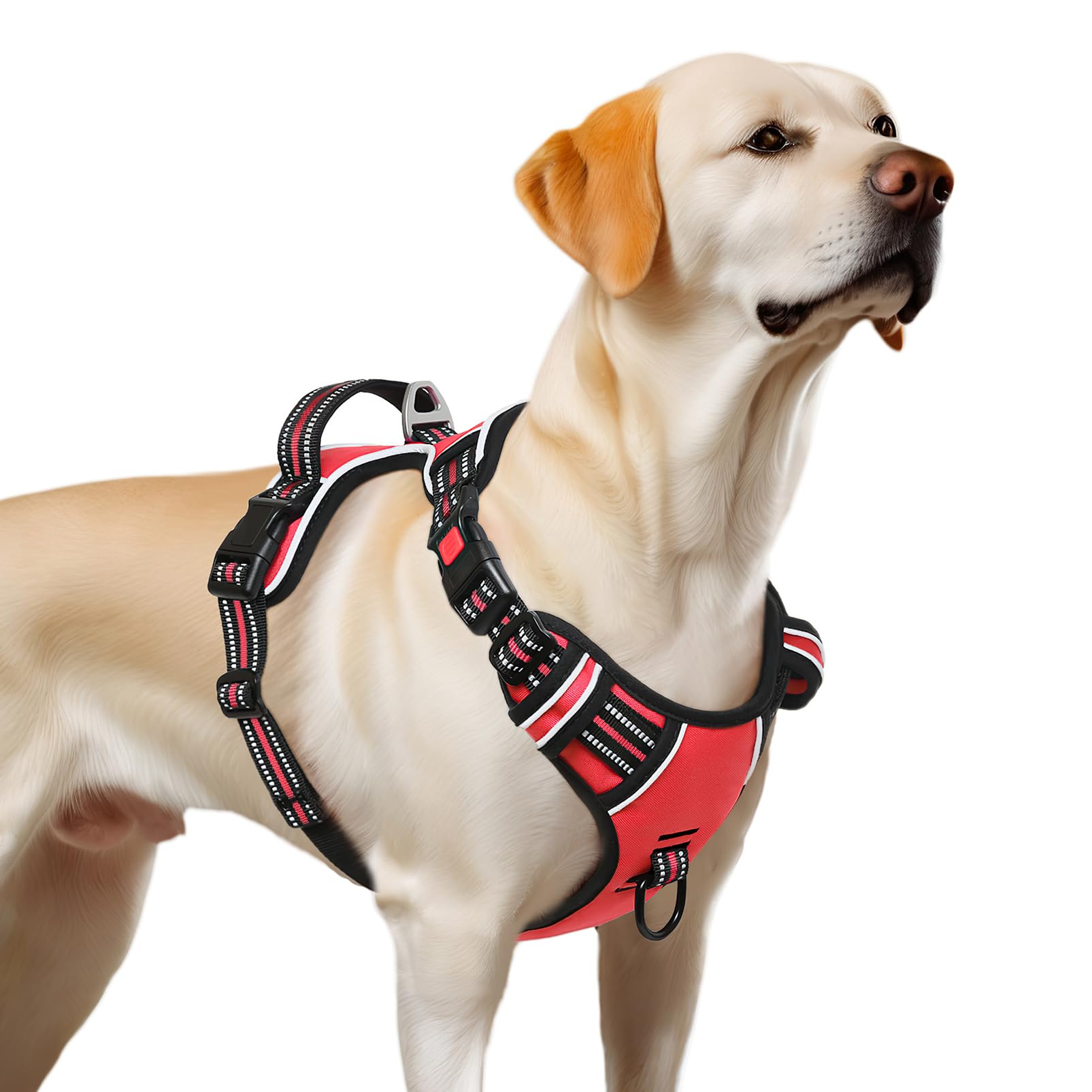 Timos adjustable straps allow a perfect fit with growth room.