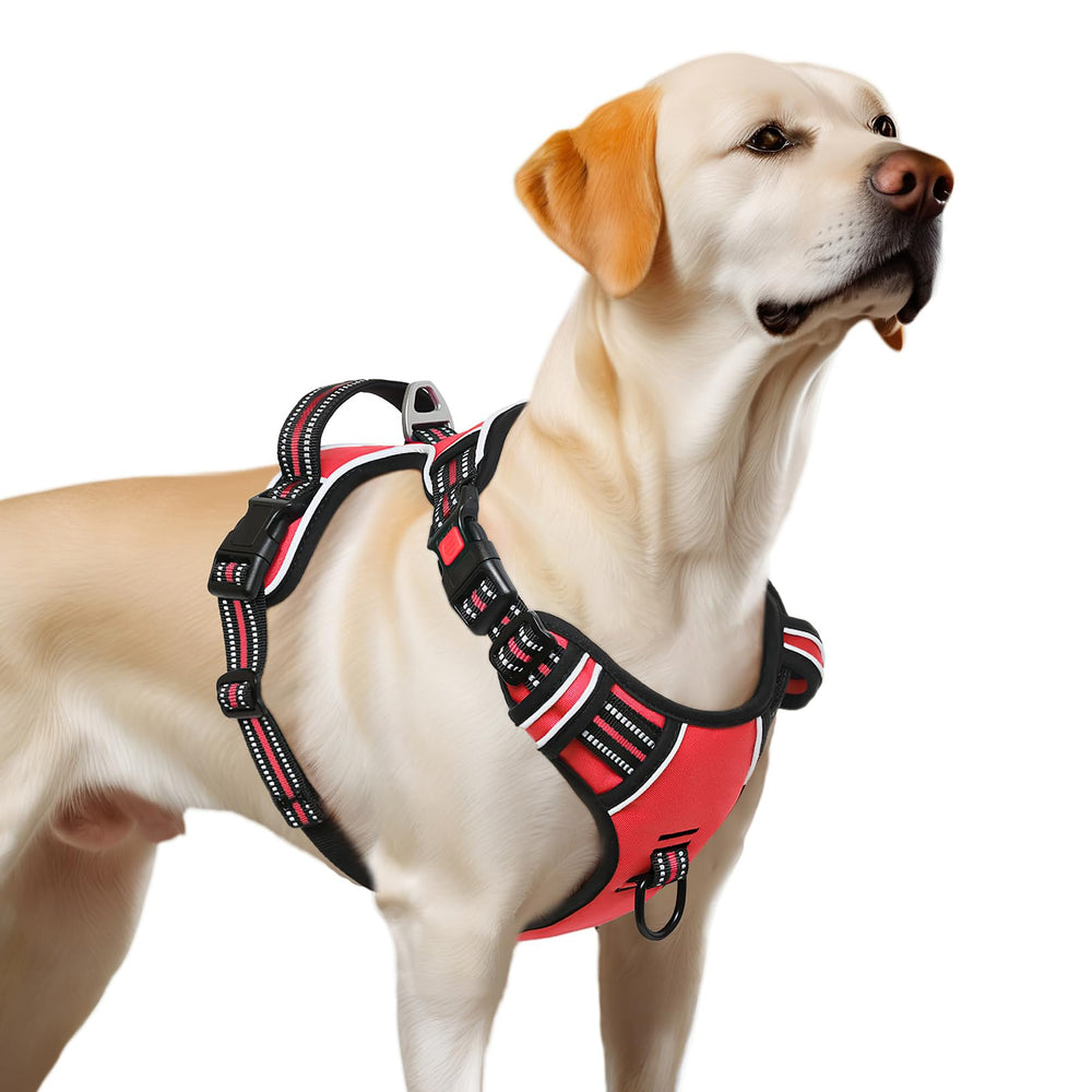 Timos adjustable straps allow a perfect fit with growth room.