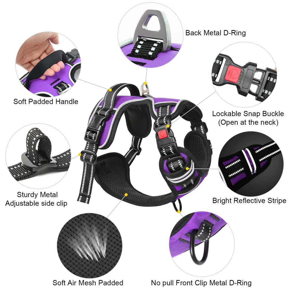 Timos harness back handle for close control during walks
