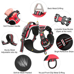 Timos back handle on harness provides closer control during walks.