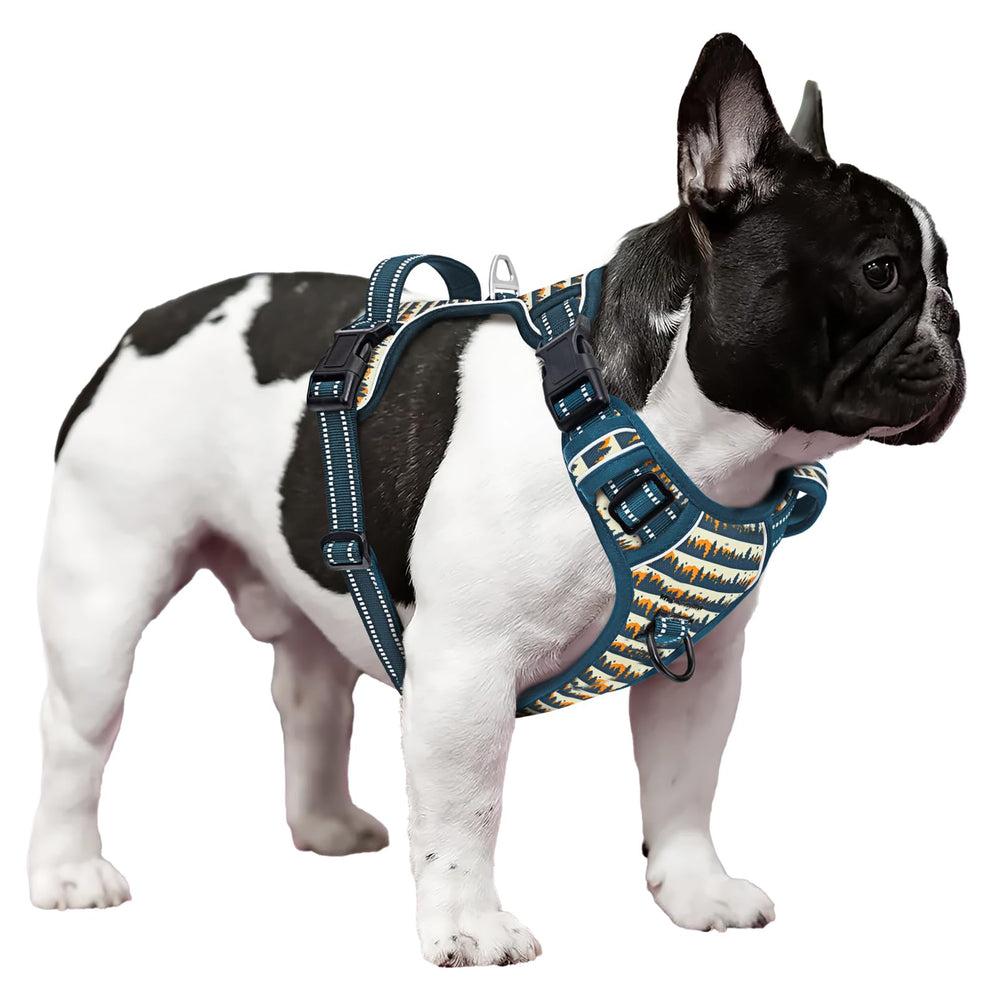 Size S Timos harness fits neck 34-48 cm and chest 35-61 cm for proper fit.