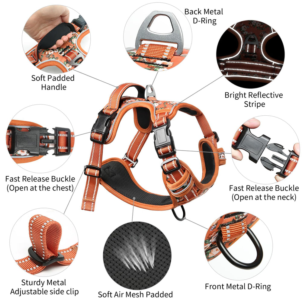 Timos dog harness back lead ring for casual walks and jogging
