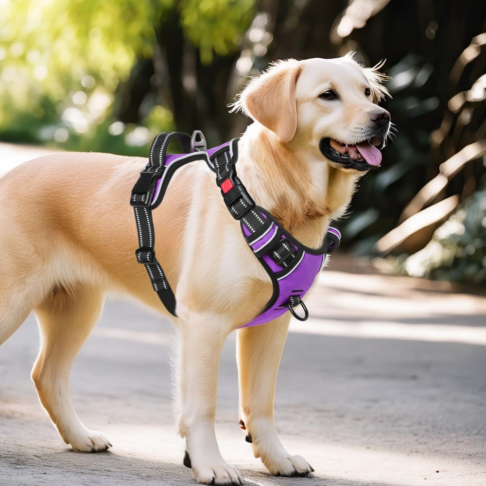 Timos breathable mesh padding provides comfort on walks