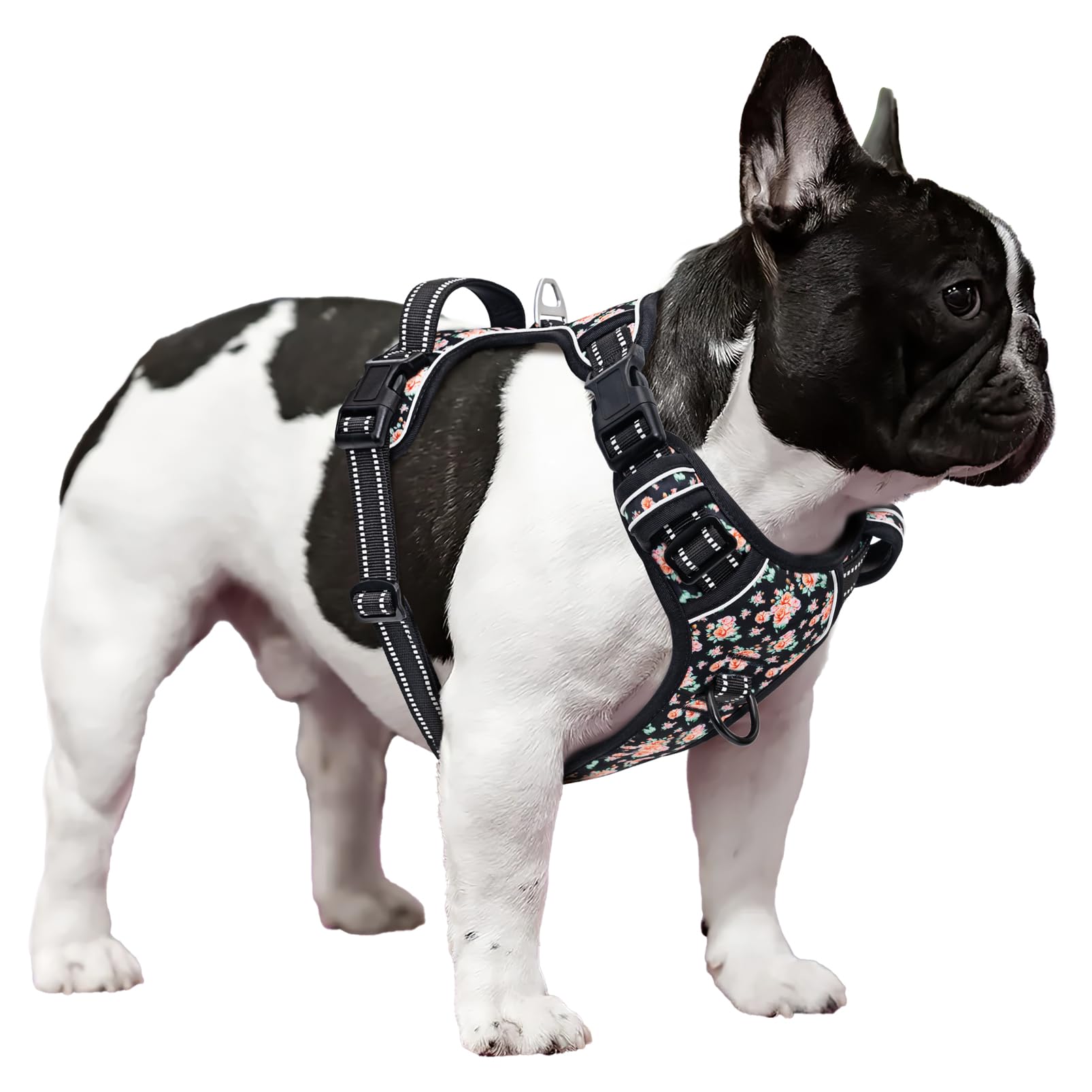 Timos harness breathable mesh lining protects your dog's chest during activity