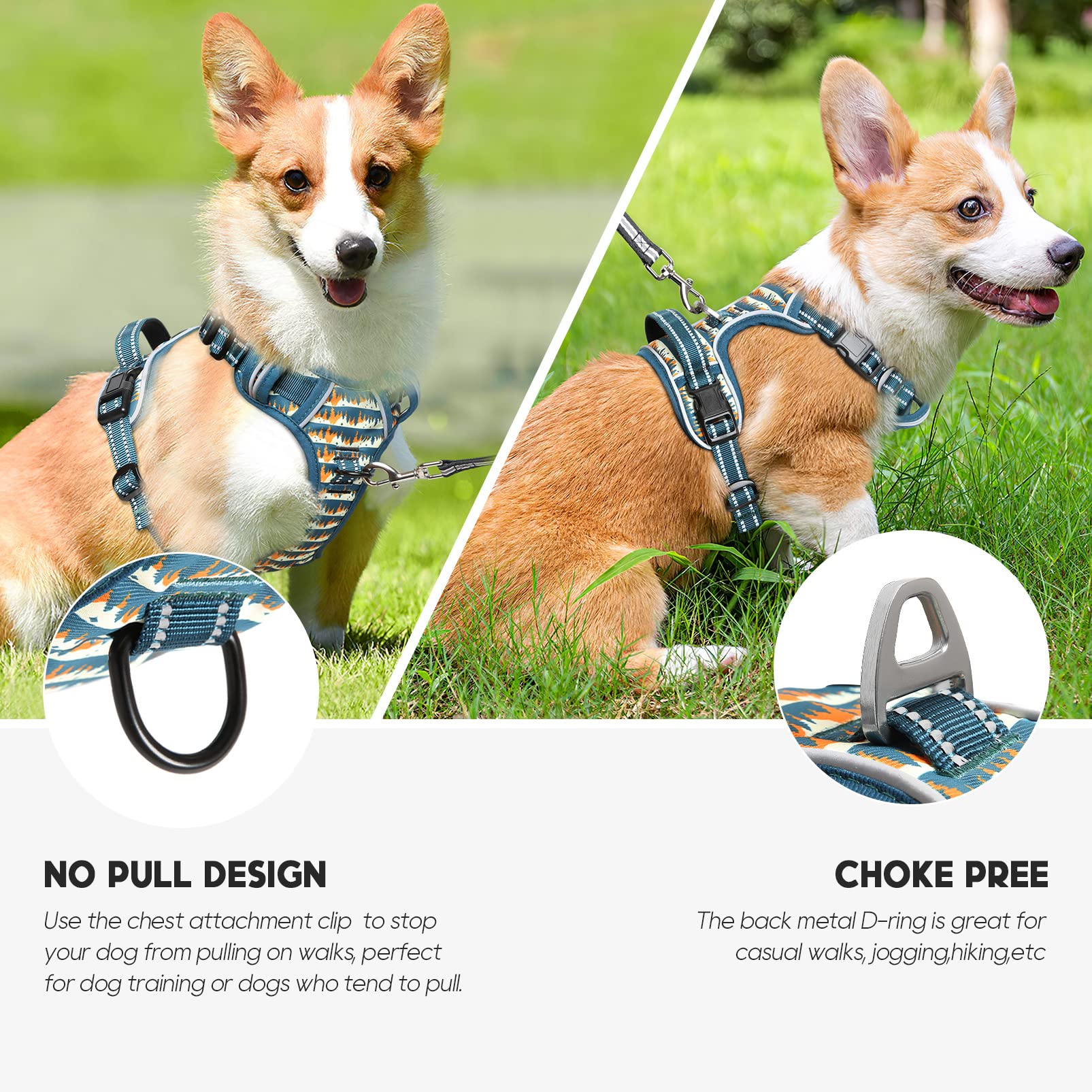 Timos harness chest leash clip for safer no-pull training.