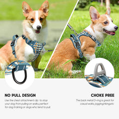Timos harness chest leash clip for safer no-pull training.