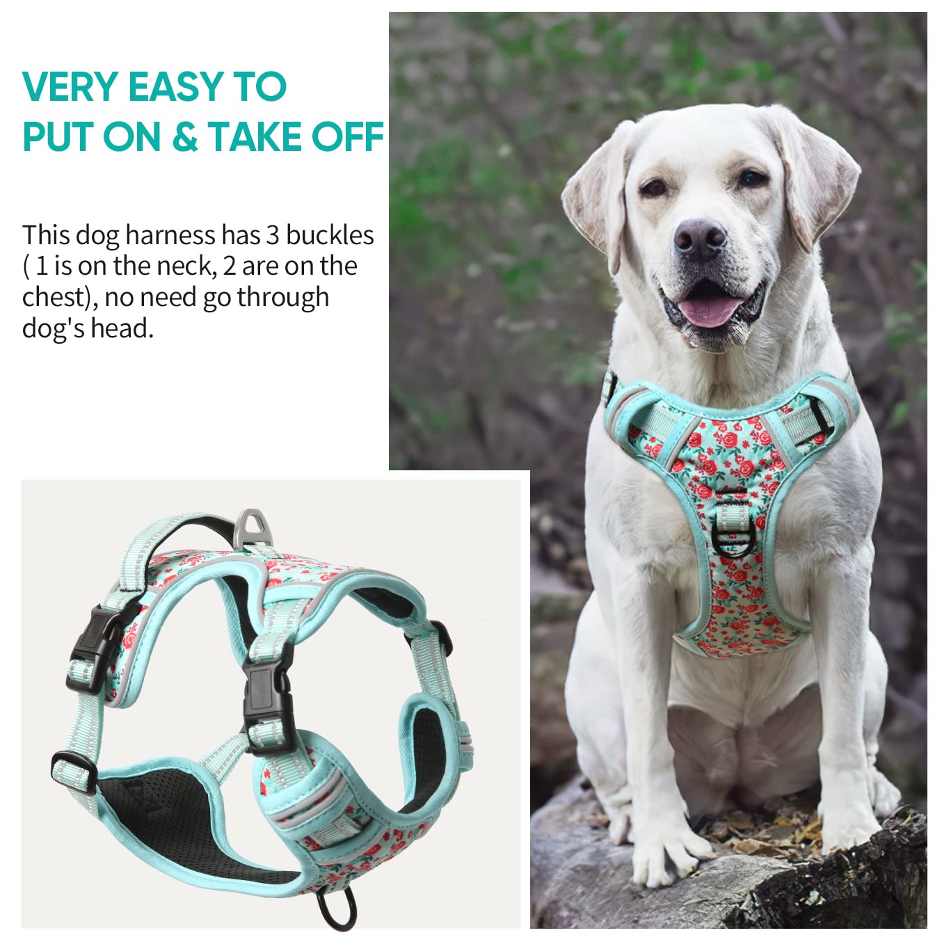 Timos chest and neck attachments for no-pull training