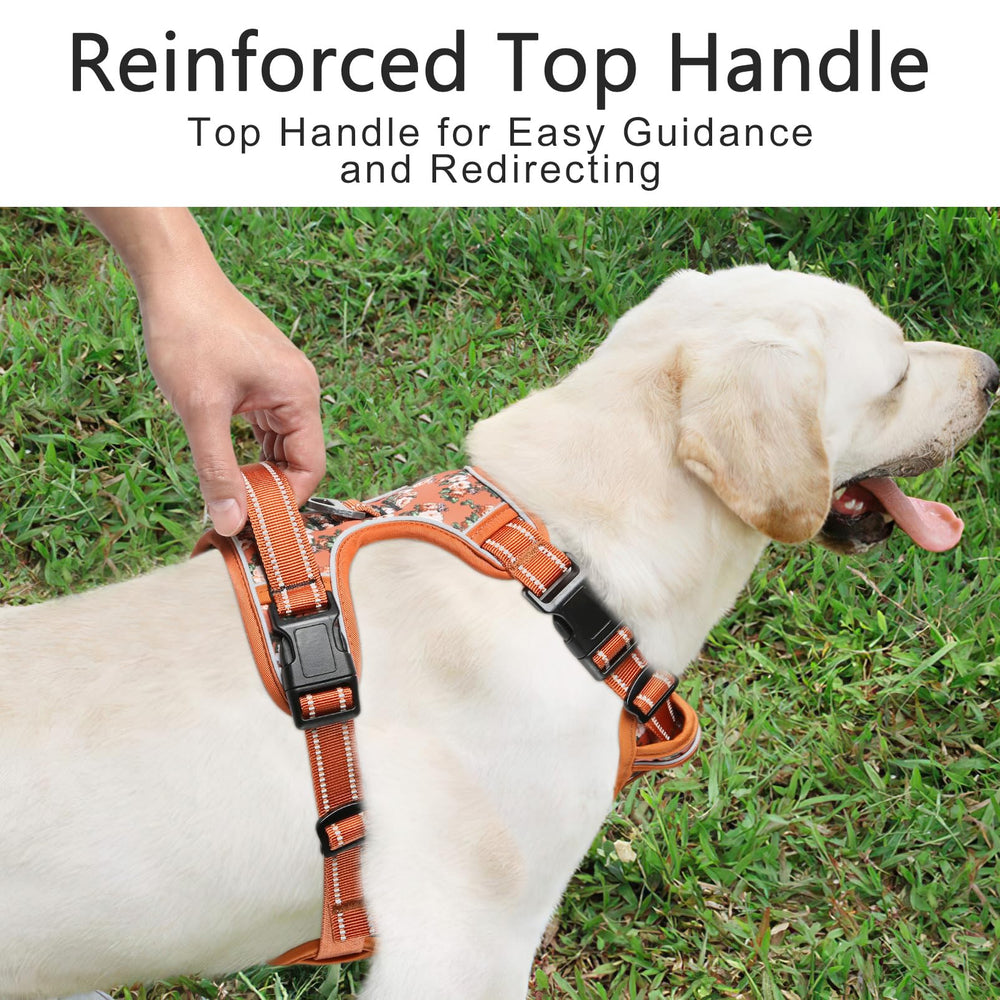 Timos dual-ring design showing chest strap for training and casual walks