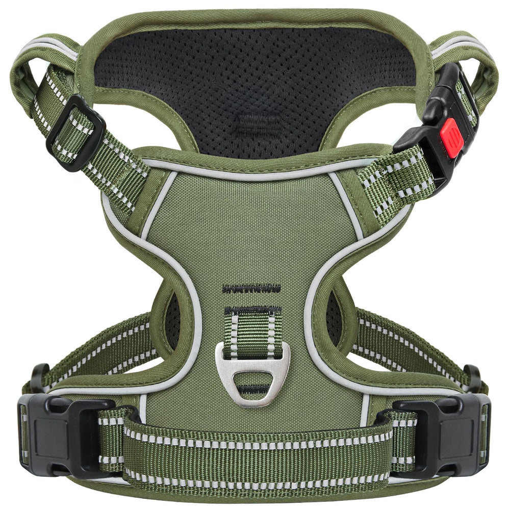 Timos dog harness front view with three fast-release buckles for easy on/off.