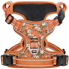 Timos dog harness front buckles for quick wear and easy fitting