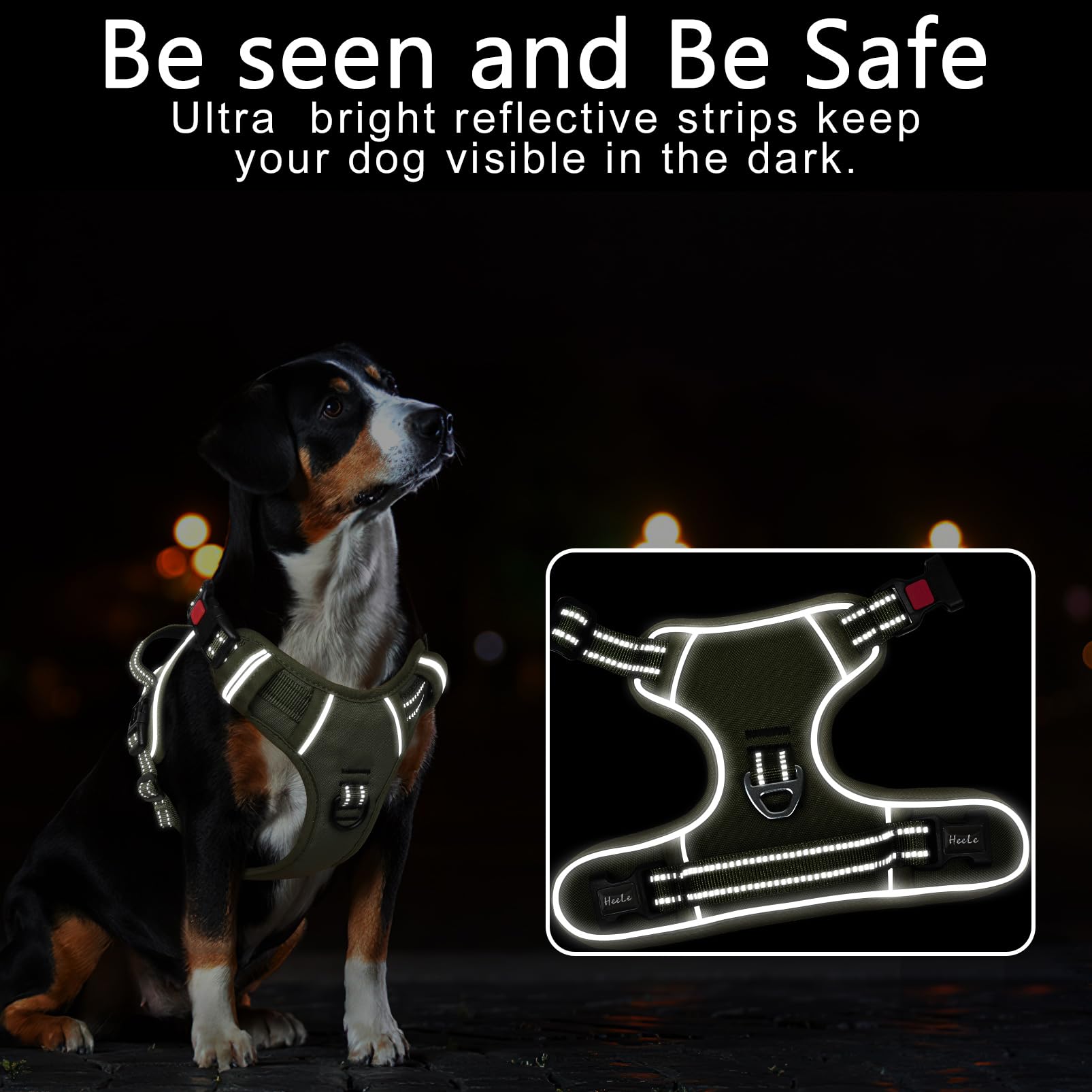 Timos dog harness with front clip offers no-pull control on walks