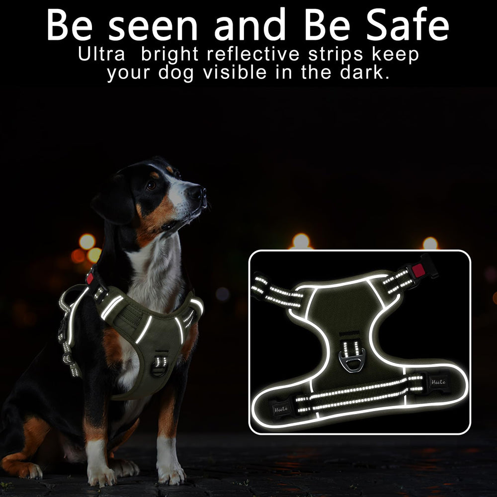 Timos dog harness with front clip offers no-pull control on walks