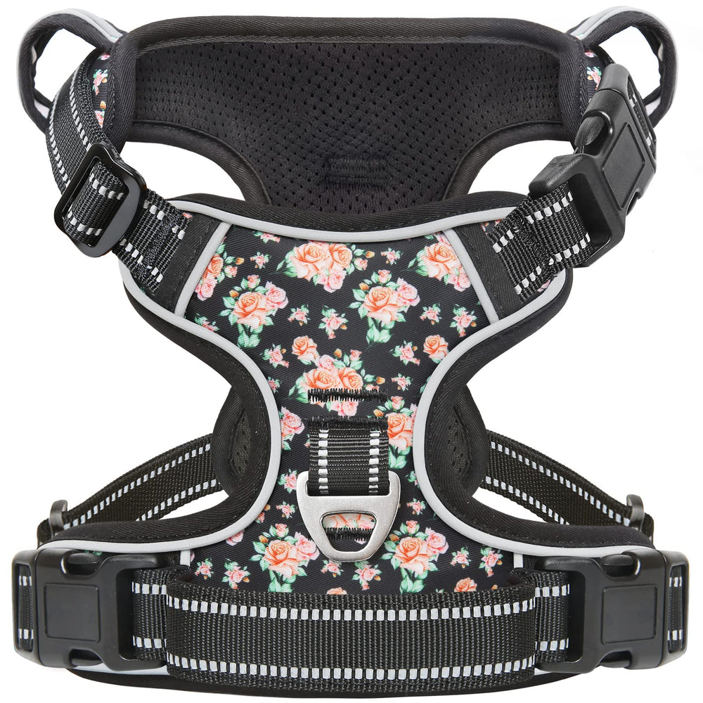Timos dog harness front view showing secure daily-walk comfort
