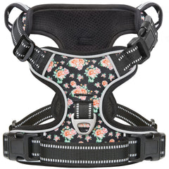 Timos dog harness front view showing secure daily-walk comfort