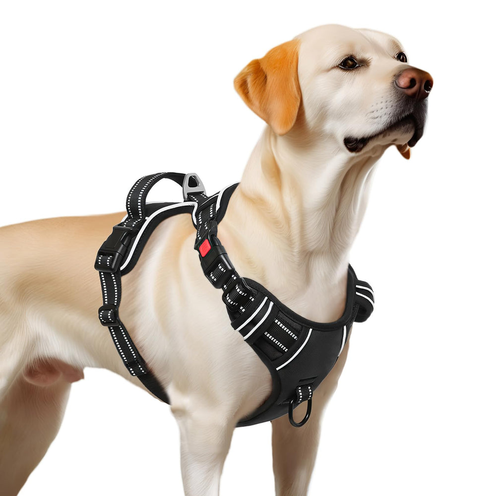 Timos dog harness handle assists closer control and easy car entry.
