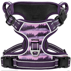 Timos dog harness Moon Night XS shows three quick-release buckles for easy on-off.