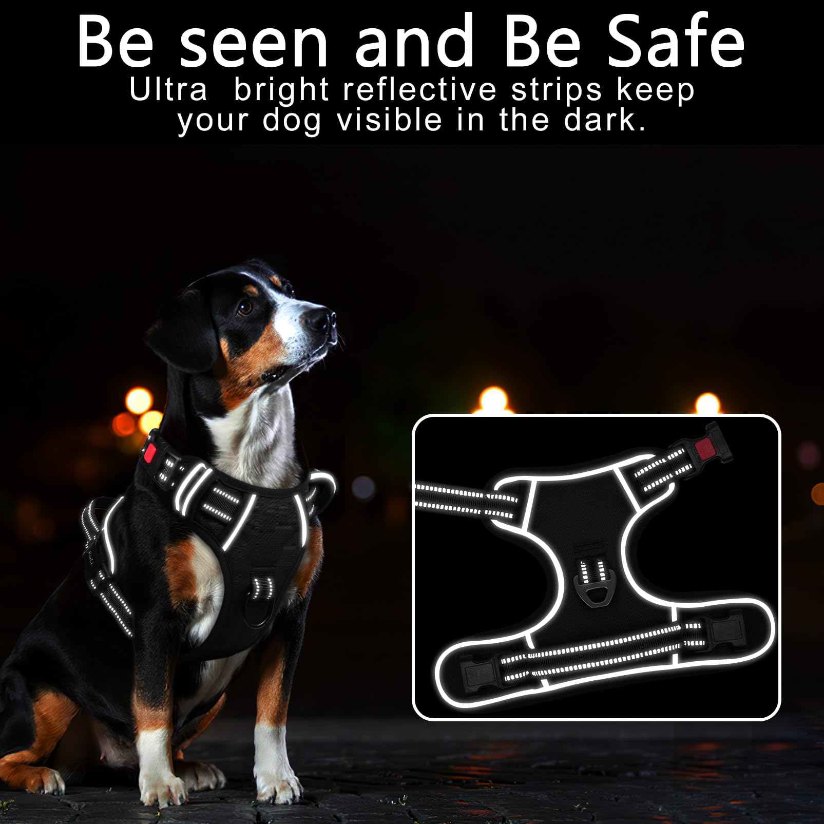 Timos dog harness chest rings close-up for safer daily walks.