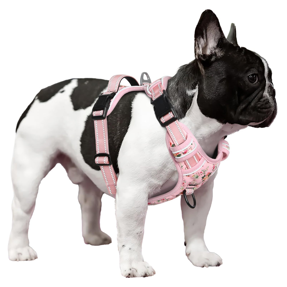 Timos dog harness neck and chest straps enable secure, tailored fit.