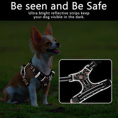 Timos harness no-pull design with chest leash loop to discourage pulling