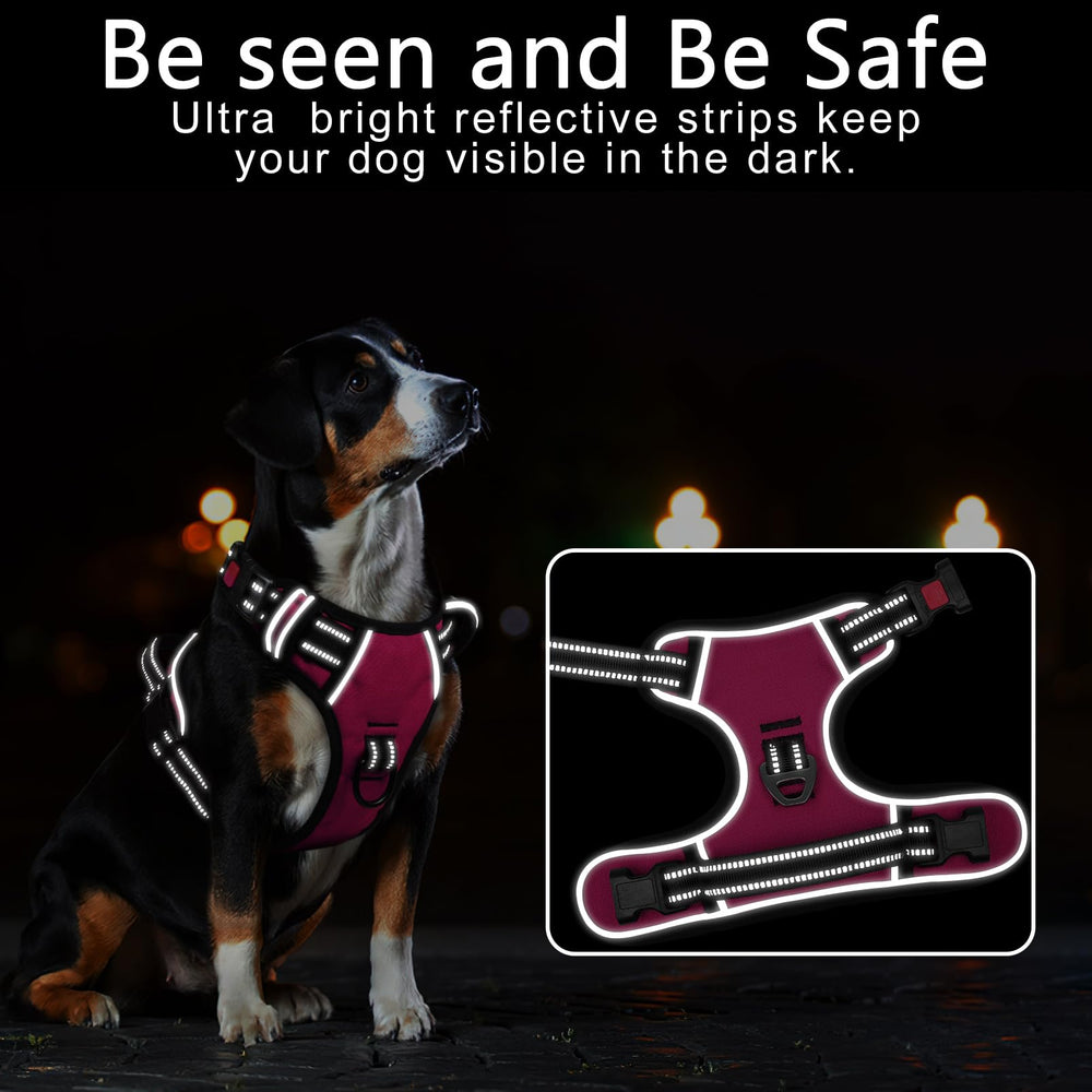 Timos dog-harness reflective material for brighter night visibility