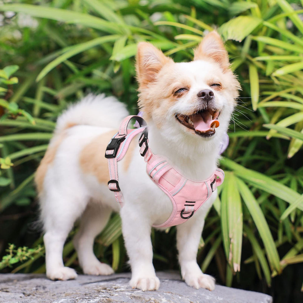 Timos reflective-material increases visibility for safer night walks