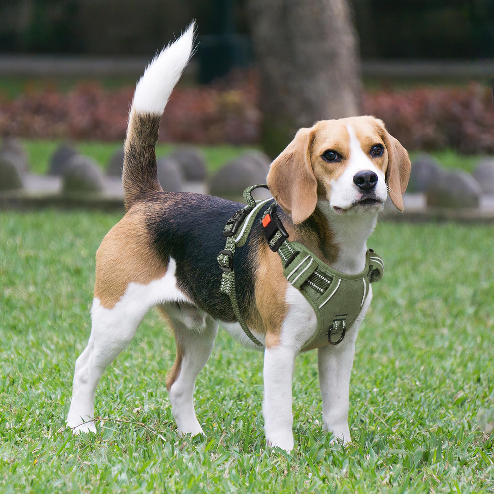 Timos dog harness reflective vest improves visibility in low light.