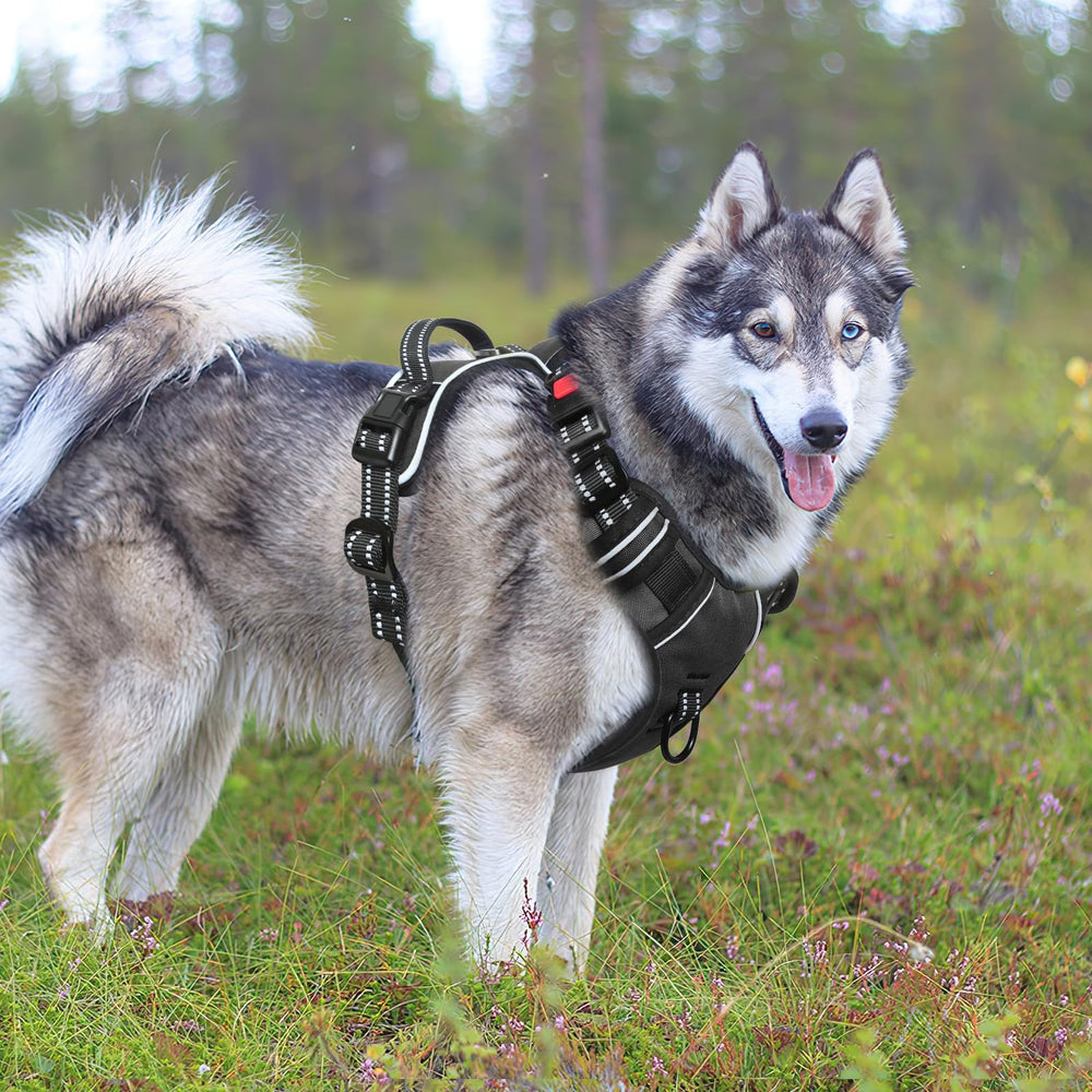 Timos dog harness size chart guides perfect fit for small to large dogs.