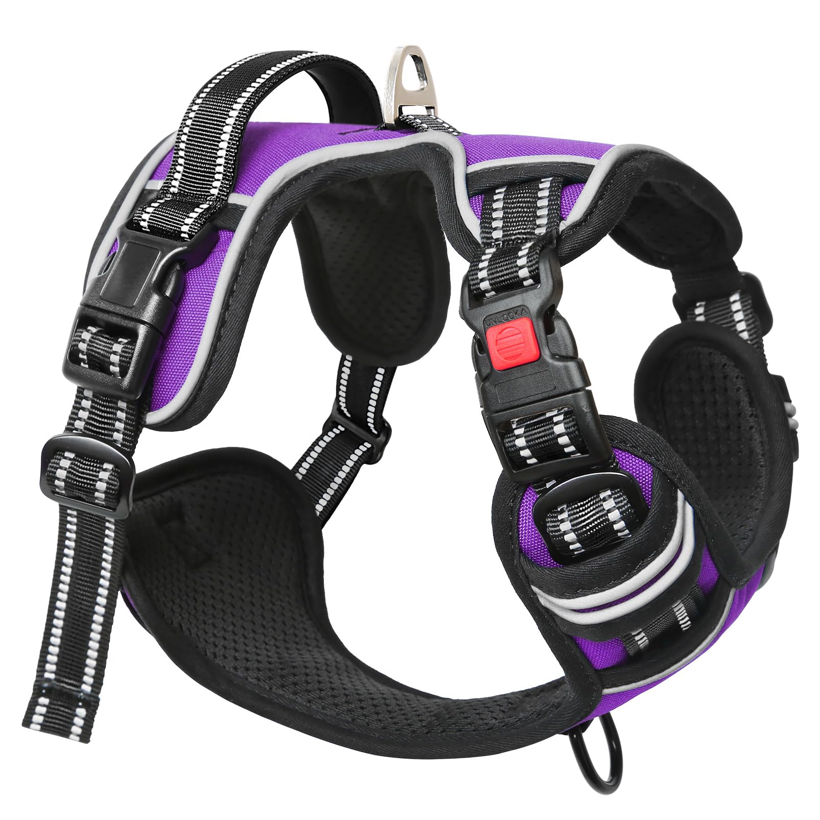 Timos XL size measurements neck and chest for large dogs