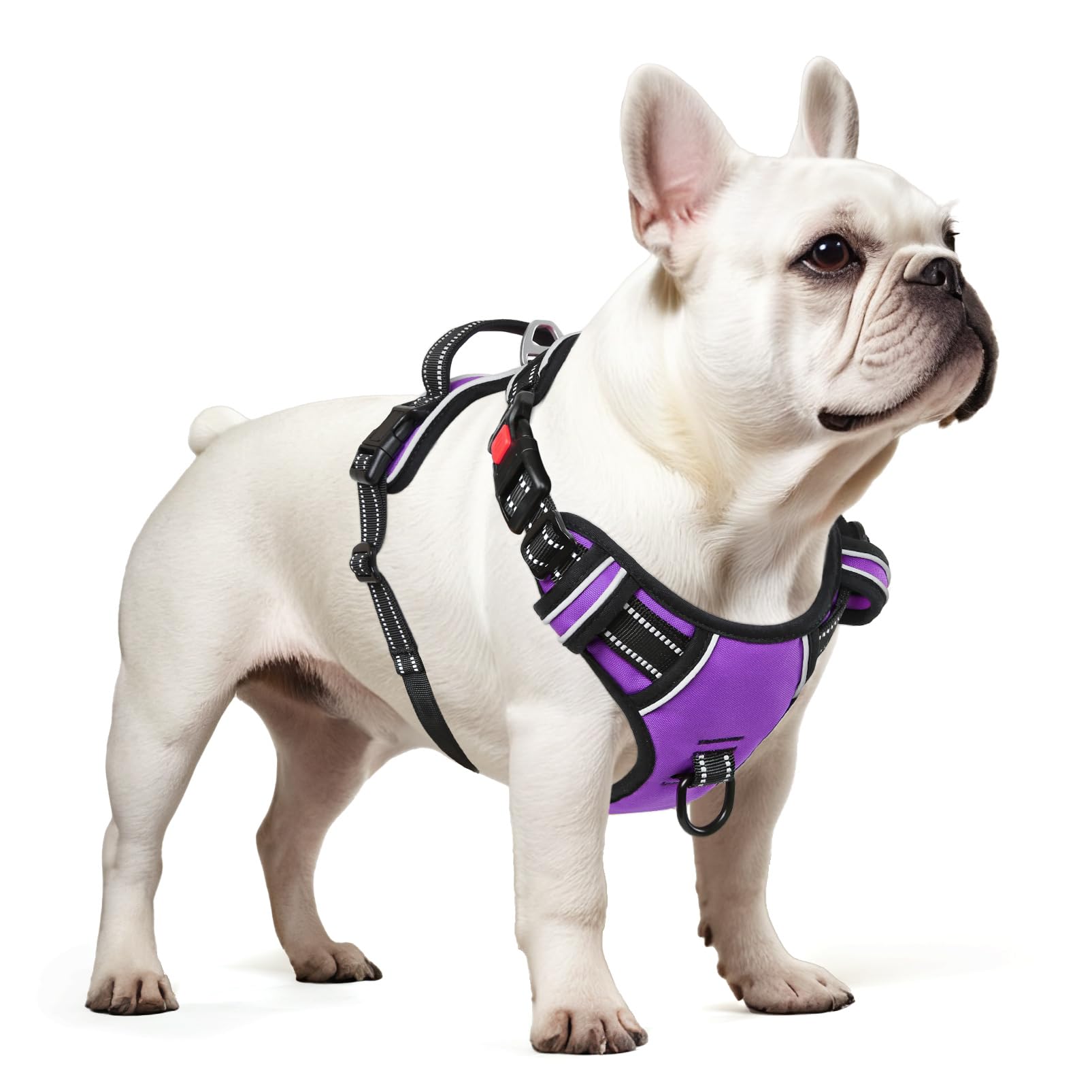 Timos dog harness small adjustable-straps ensures a snug fit with growth room