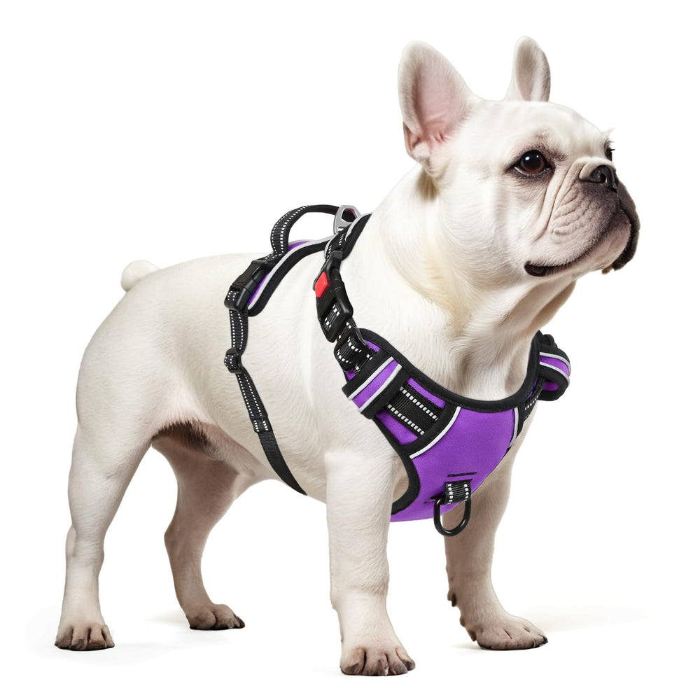 Timos dog harness small adjustable-straps ensures a snug fit with growth room