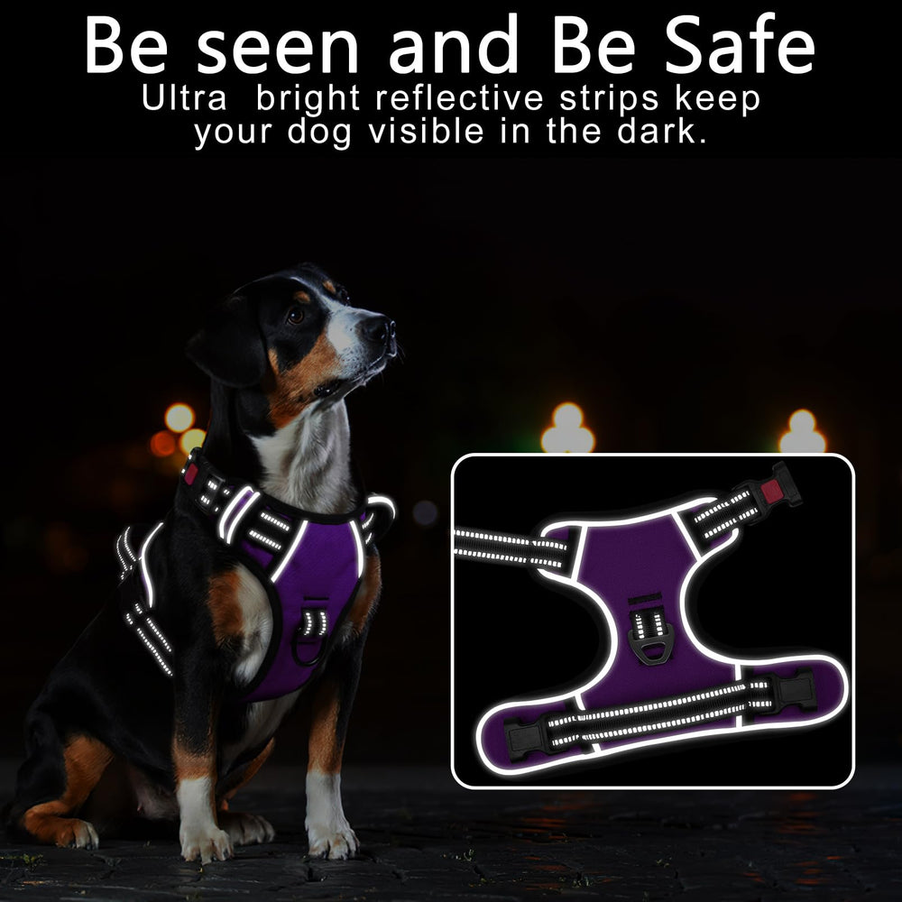 Timos dog harness small reflective-strap aids drivers to notice your dog at dusk