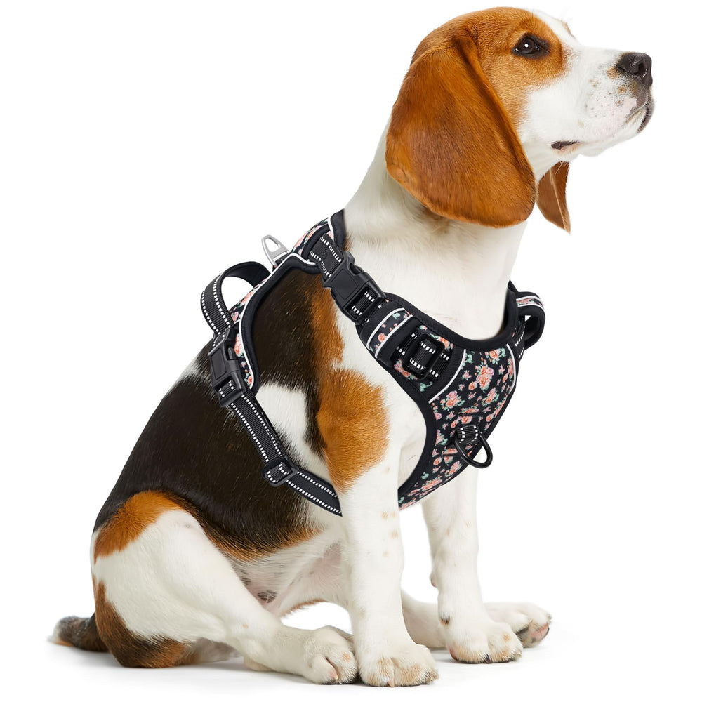 Timos harness soft padding and breathable mesh keep dogs comfortable