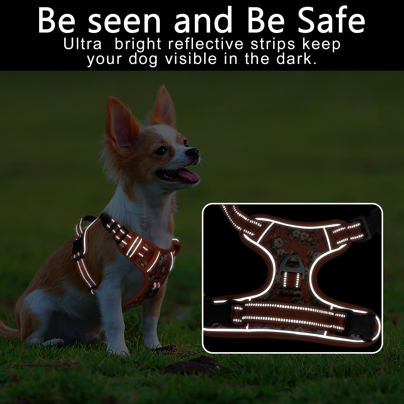 Timos dog harness soft padding protects and comforts during adventures