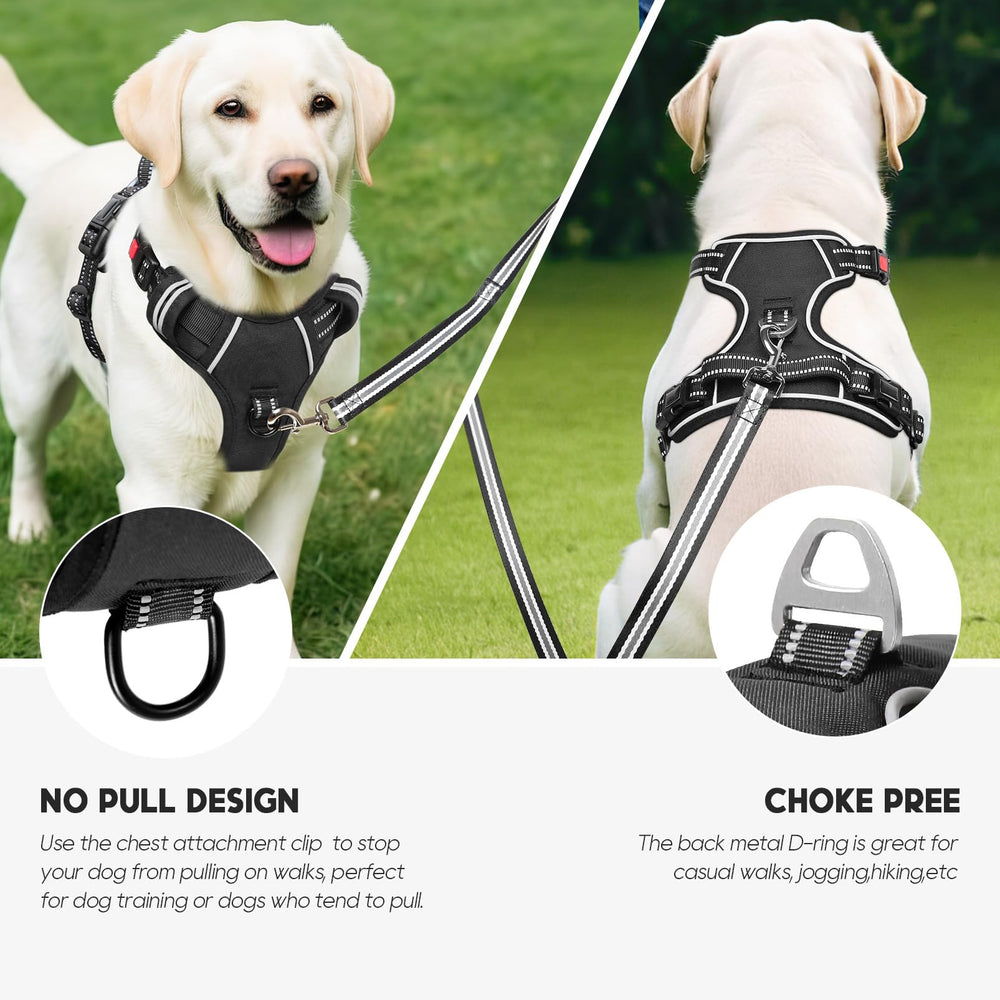 Timos dog harness soft padding and breathable mesh for all-day comfort.